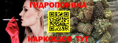 крисы Татарск