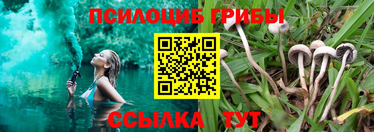 Назрань  Галлюциногенные грибы Magic Shrooms  Вход с VPN 
