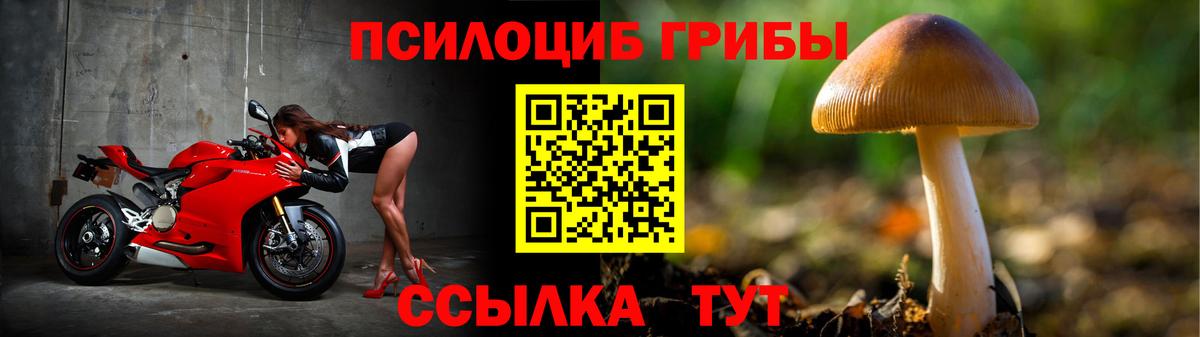 Псилоцибиновые грибы Psilocybine cubensis Назрань